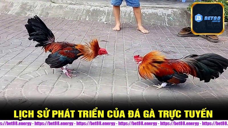 Lịch sử phát triển của trò chơi đá gà trực tuyến